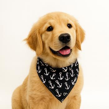 Bandana Pet Para Cachorro Personalizada 1